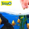 image:imageTetra Cichlid Floating Cichlid Sticks Fish Food 113 oz113 Ounce Pack of 2
