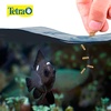 image:imageTetra Cichlid Floating Cichlid Sticks Fish Food 113 oz74 Ounce Pack of 12