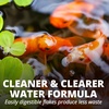 image:imageTetra Pond Color Flakes Fish Food for Small Koi amp Goldfish 6 ozOriginal