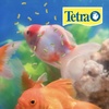 image:imageTetra Pond Sticks Fish Food For Goldfish amp Koi 11 lbsFish