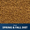image:imageTetraPond Spring amp Fall Diet Floating Pond Sticks 172Pound172 Pound Pack of 1