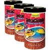 6 Ounce (Pack of 3)