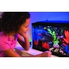 image:imageGloFish Crescent aquarium Kit 3 Gallons Includes Hidden Blue LED Light And Internal Filter20gallon kit