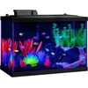 image:imageGloFish Crescent aquarium Kit 3 Gallons Includes Hidden Blue LED Light And Internal Filter20gallon kit