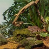 image:imageTetra 20 Gallon Deluxe Aquarium Kit for Aquatic Turtles15 gallon
