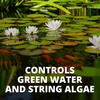 image:imageTetra 77188 Algae Control Treats 36000 gallons 1014Ounce