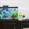 image:imageTetra AquaSafe Plus Water Conditioner amp Dechlorinator For Aquarium 338 oz84Ounce