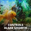 image:imageTetra No More Algae Tablets for Aquariums 8 Count