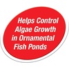 image:imageTetra Pond Block Controls Algae In Ornamental Fish Ponds 4 Count1