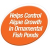 image:imageTetra Pond Block Controls Algae In Ornamental Fish Ponds 50 Count50 blocks