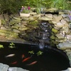 image:imageTetra Pond Block Controls Algae in Ornamental Fish Ponds 6 Count6Blocks