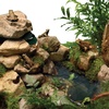 image:imageTetra ReptoFilter Terrarium Filtration Keeps Water Clear90 GPH