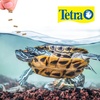 image:imageTetra ReptoMin Floating Food Sticks Food for Aquatic Turtles Newts and Frogs 37 oz37 Ounce Pack of 2