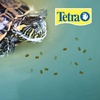 image:imageTetra ReptoMin Pro Sticks Floating Food for Adult Aquatic Turtles 811 ozBaby Turtle