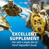 image:imageTetra ReptoTreat SunDried Shrimp For Aquatic Turtle Newts amp Frogs 35 oz035 Ounce Pack of 1