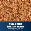 image:imageTetra ReptoTreat SunDried Shrimp For Aquatic Turtle Newts amp Frogs 35 oz035 Ounce Pack of 1