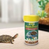 image:imageTetra ReptoTreat SunDried Shrimp For Aquatic Turtle Newts amp Frogs 35 oz035 Ounce Pack of 1