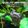 image:imageTetra ReptoTreat SunDried Shrimp For Aquatic Turtle Newts amp Frogs 35 oz035 Ounce Pack of 1