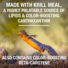 image:imageTetra ReptoTreat Supplemental Turtle Food Sticks with Krill Meal 218 oz218 Ounce Pack of 1