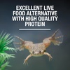 image:imageTetra ReptoTreat Supplemental Turtle Food Sticks with Krill Meal 218 oz218 Ounce Pack of 1
