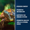 image:imageTetra ReptoTreat Supplemental Turtle Food Sticks with Krill Meal 218 oz218 Ounce Pack of 1