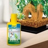 image:imageTetra SafeStart Plus for New Freshwater Aquariums 845 oz250 ml  845Ounce