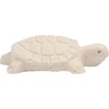 image:imageTetraFauna ReptoGuard Turtle Health Conditioner 1 Count1Count Pack of 2