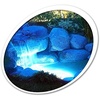 image:imageTetraPond Triple LED Light Set with Remote ControlLight Set w Remote