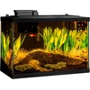 image:imageTetra Color Complete 20 Gallon Fish Tank Kit for Freshwater Saltwater FishColor Fusion