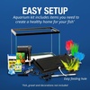 image:imageTetra Color Complete 20 Gallon Fish Tank Kit for Freshwater Saltwater FishTetra