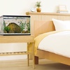 image:imageTetra Color Complete 20 Gallon Fish Tank Kit for Freshwater Saltwater FishTetra