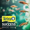 image:imageTetra Color Complete 20 Gallon Fish Tank Kit for Freshwater Saltwater FishTetra