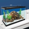 image:imageTetra Color Complete 20 Gallon Fish Tank Kit for Freshwater Saltwater FishTetra