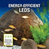 image:imageTetra Color Complete 20 Gallon Fish Tank Kit for Freshwater Saltwater FishTetra