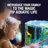 image:imageTetra ColorFusion Starter 3 Gallon Fish Tank Kit for Small Freshwater Fish1 Gallon