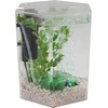 image:imageTetra ColorFusion Starter 3 Gallon Fish Tank Kit for Small Freshwater Fish1 Gallon