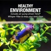 image:imageTetra ColorFusion Starter 3 Gallon Fish Tank Kit for Small Freshwater Fish1 Gallon