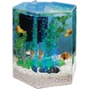image:imageTetra ColorFusion Starter 3 Gallon Fish Tank Kit for Small Freshwater Fish1 Gallon
