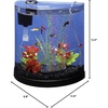 image:imageTetra ColorFusion Starter 3 Gallon Fish Tank Kit for Small Freshwater Fish3 Gallon