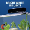 image:imageTetra ColorFusion Starter 3 Gallon Fish Tank Kit for Small Freshwater Fish3 Gallon