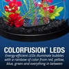 image:imageTetra ColorFusion Starter 3 Gallon Fish Tank Kit for Small Freshwater Fish3 Gallon