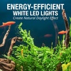 image:imageTetra Complete with Plants 55 Gallon Fish Tank Kit Freshwater amp Saltwater