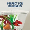 image:imageTetra LED Betta Tank Kit 1 Gallon Trapezoid aquarium With Base Lighting 24050