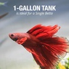image:imageTetra LED Betta Tank Kit 1 Gallon Trapezoid aquarium With Base Lighting 24050