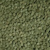 image:imageTetra PlecoWafers Fish Food for Algae Eaters 303 oz303 Ounce Pack of 1