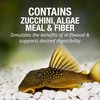 image:imageTetra PlecoWafers Fish Food for Algae Eaters 303 oz65 Ounce Pack of 1