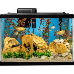 image:imageTetra Color Complete 20 Gallon Fish Tank Kit for Freshwater Saltwater FishTetra