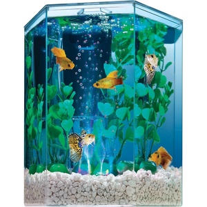 image:imageTetra ColorFusion Starter 3 Gallon Fish Tank Kit for Small Freshwater Fish1 Gallon
