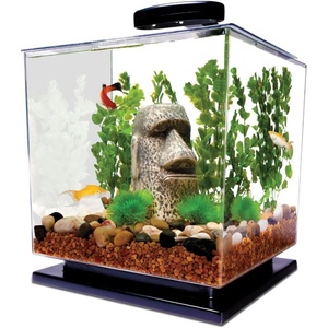 image:imageTetra ColorFusion Starter 3 Gallon Fish Tank Kit for Small Freshwater Fish3 Gallon