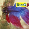 image:imageTetra BettaMin Mini Pellets Fish Food for Betta Fish 015 ozSmall Pellets